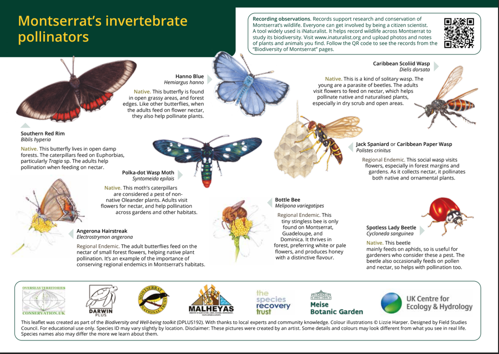 Pollinator & Seed Disperser Page 2
