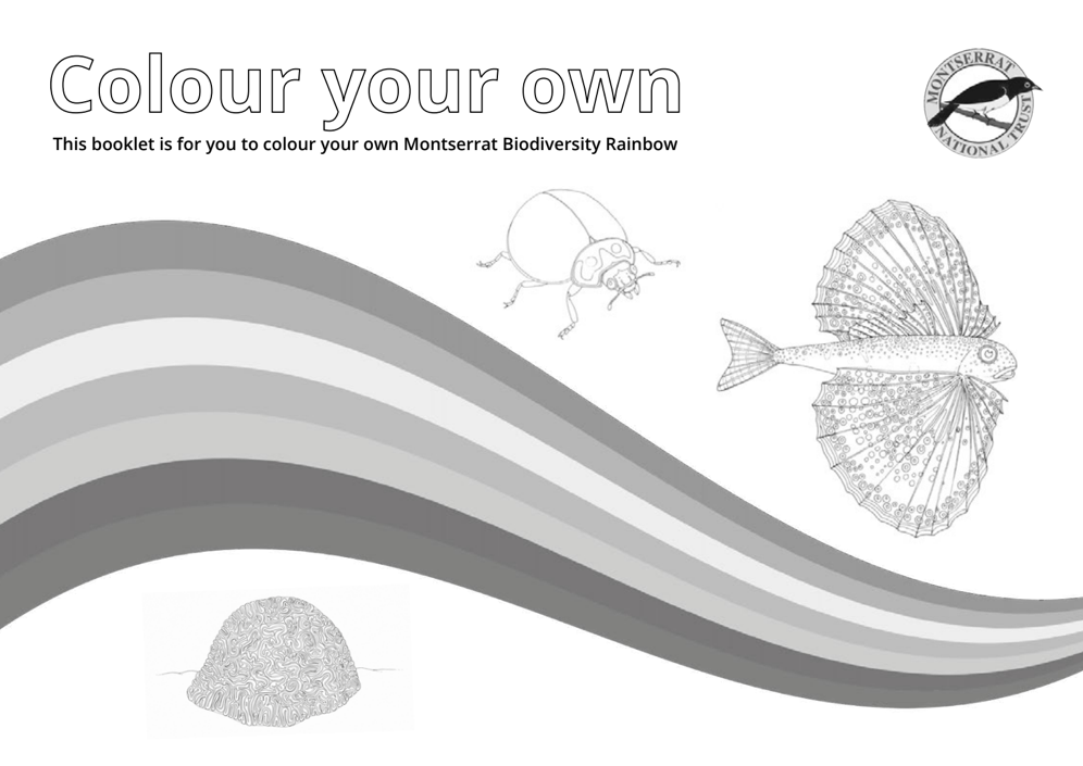 Balck and White Colouring Book