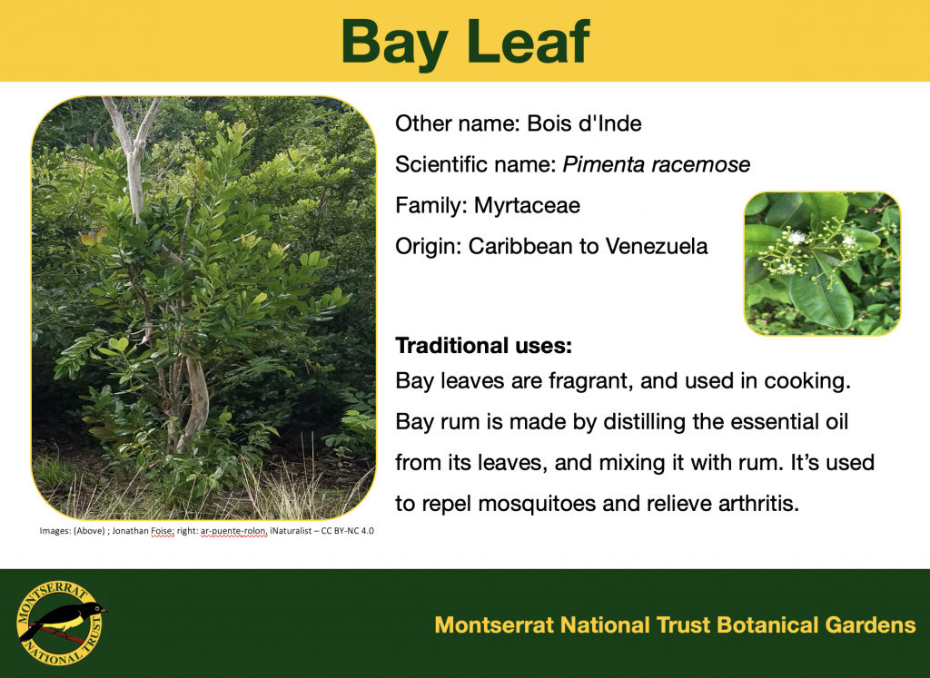 MNT Botanic Garden Signage 2/7