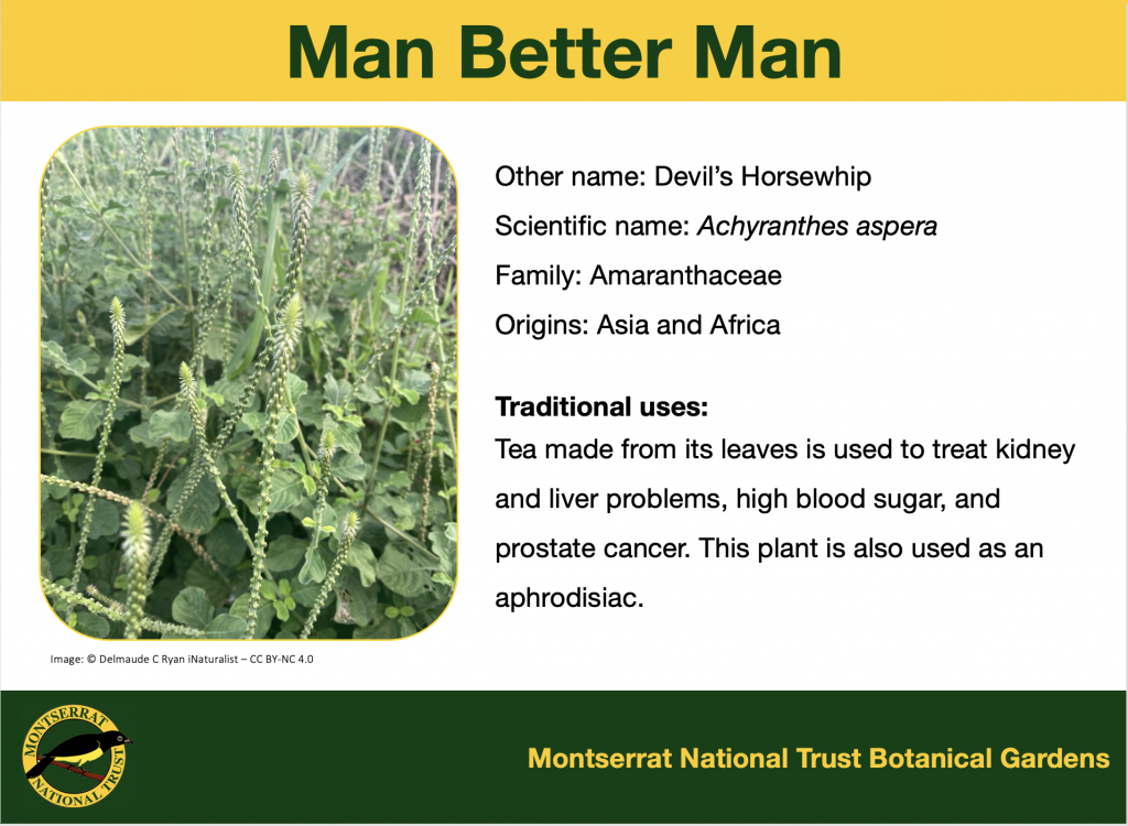 MNT Botanic Garden Signage 3/7