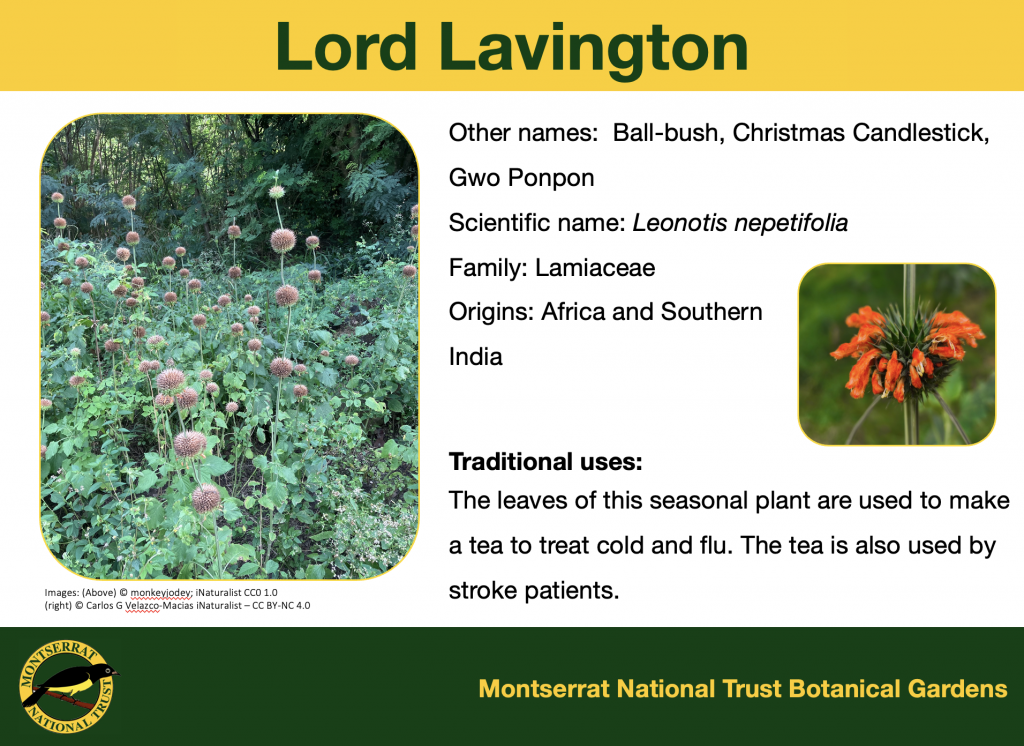 MNT Botanic Garden Signage 4/7