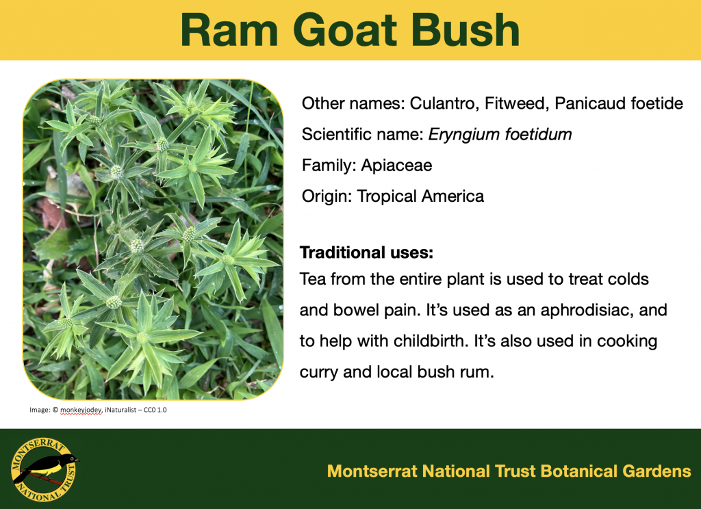 MNT Botanic Garden Signage 5/7