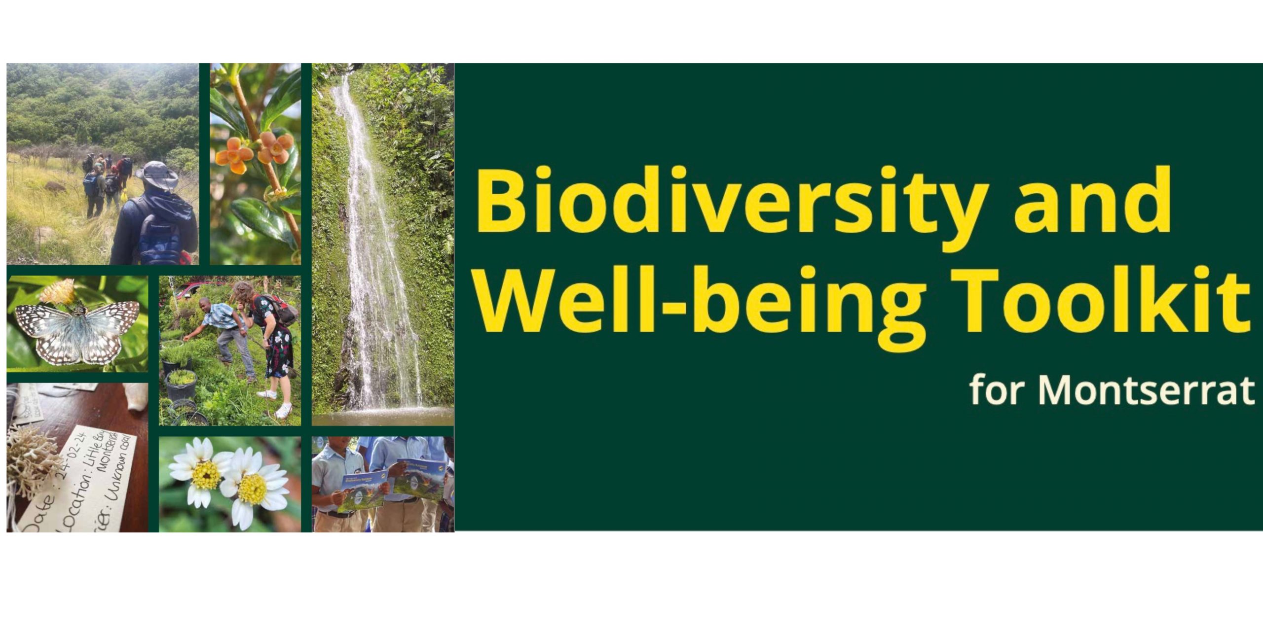 Toolkit banner